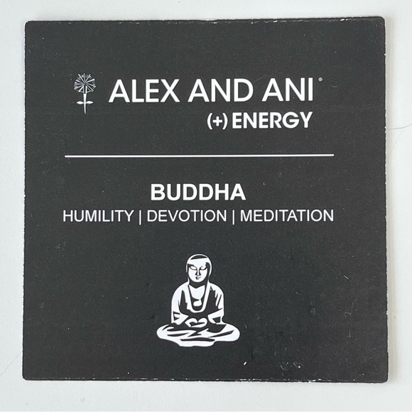 Alex and Ani Buddha Charm Bangle Bracelet Rafaelean Silver Retired Tag & Card - Picture 4 of 5